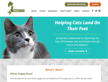Tablet Screenshot of jerseycats.org